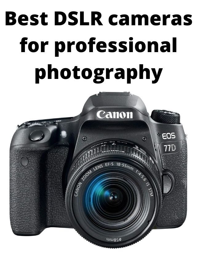 Best DSLR Cameras for Professional Photography in India