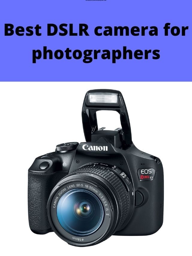 Best DSLR Camera for Photographers in India 2024