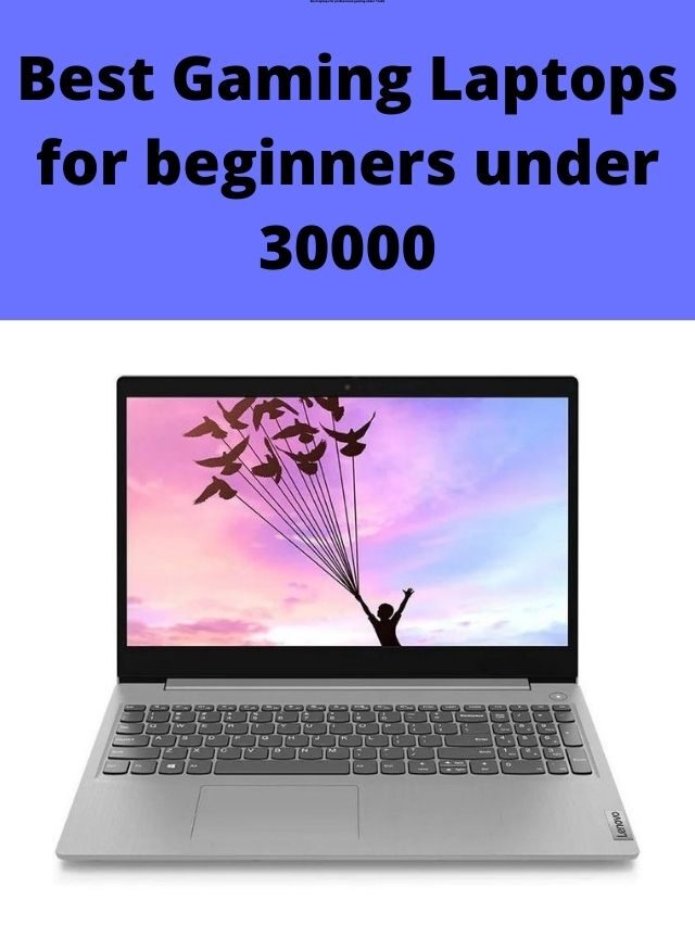 Best Gaming Laptops for Beginners Under 30000 in India 2024