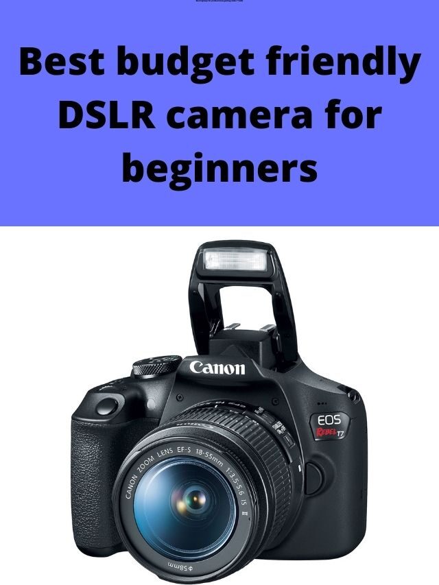 Best Budget Friendly DSLR Camera for Beginners in India 2024