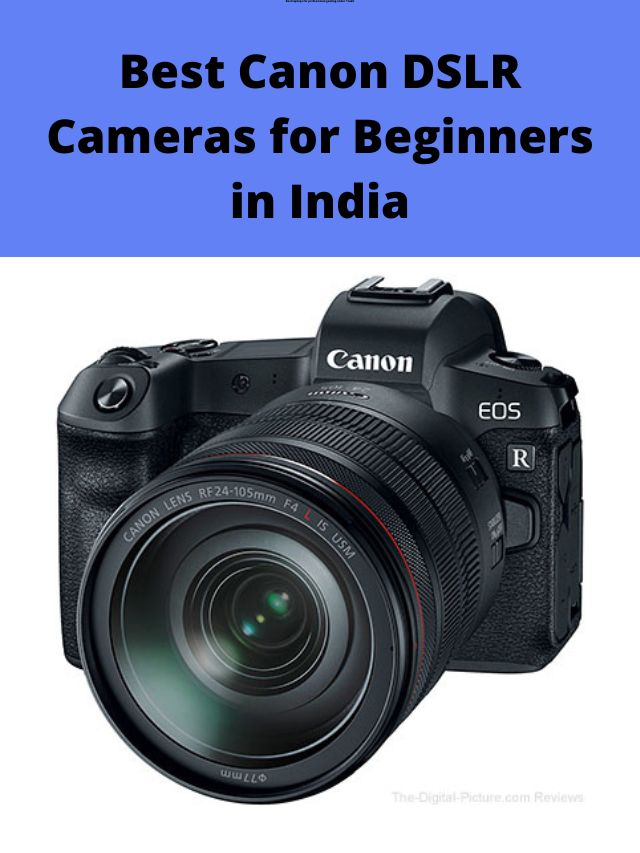Canon DSLR Cameras for Beginners
