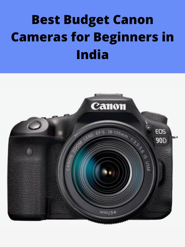 Best Budget Canon Cameras for Beginners